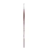 College 8730 Round Brush 2