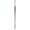 College 8730 Round Brush 10