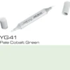 Copic Sketch YG41 Pale Green