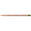 Derwent Lightfast fargeblyant – Grass green 70% (2)