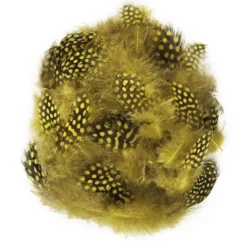 Gulprikkede fjær fra perlehøne, lengde 3–10 cm, ca. 40 stk.