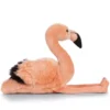 Kosedyr flamingo