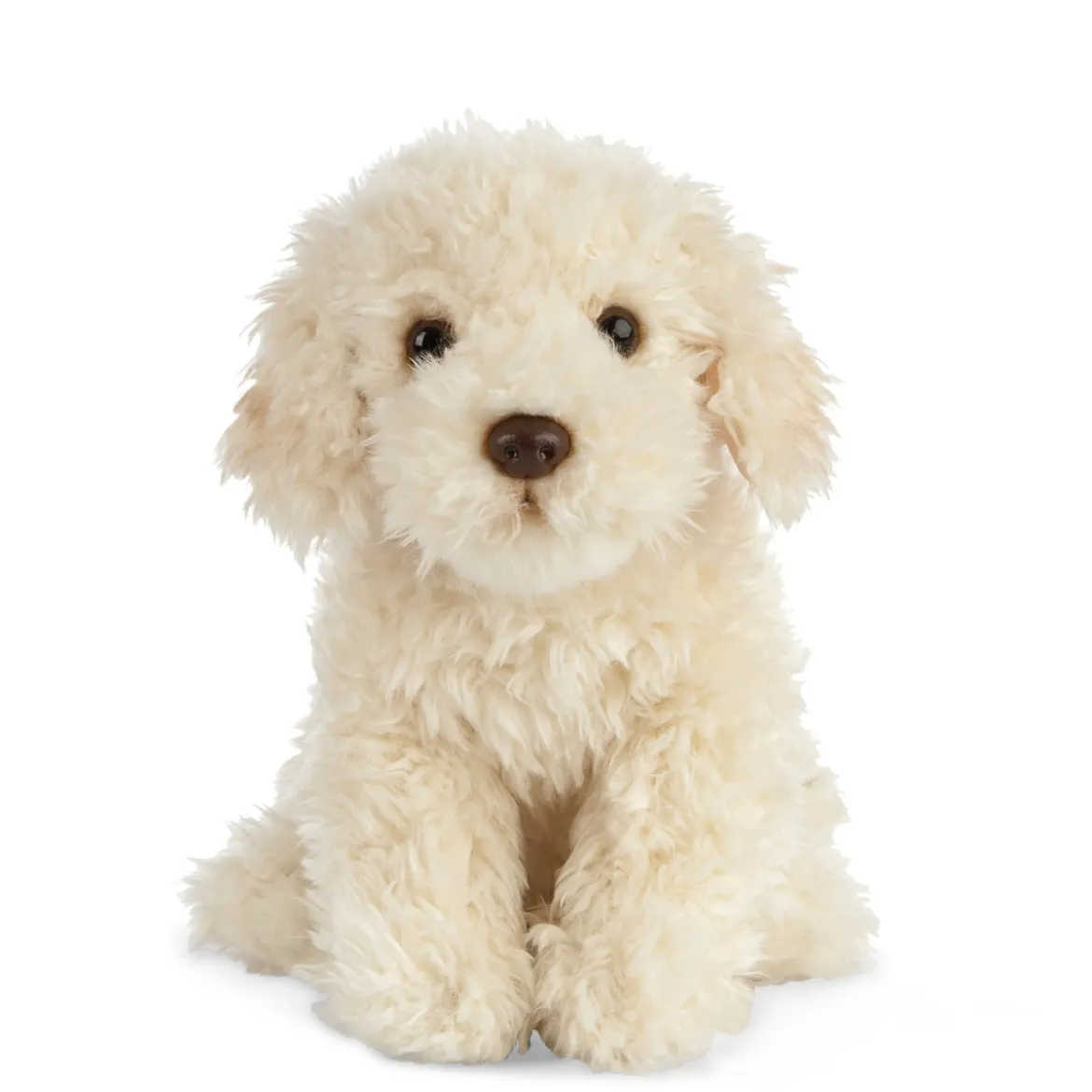 Kosedyr labradoodle