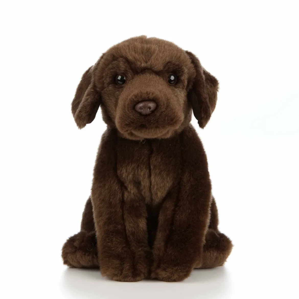 Kosedyr labrador