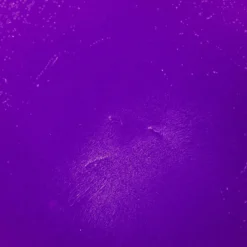 Lyspigment, fargepigment for å lage lys – lilla, 4 gram