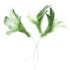 Magnoliafjær 12 stk. grønn