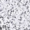 MIYUKI Delica hvit matt 5g – DBM0851 Crystal Matted AB