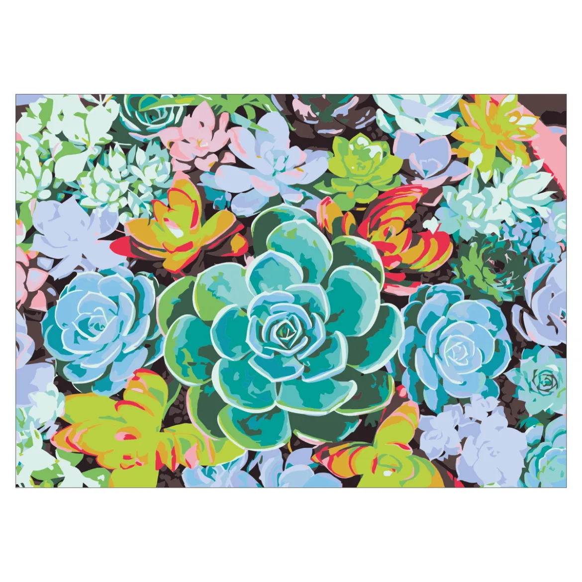 Paint by number / mal etter tall – sukkulent, 35×25 cm + 18 farger og 3 pensler