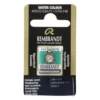 Rembrandt akvarellmaling halvkopp – Ivory Black 701