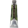 Rembrandt oljemaling 40 ml Sap Green - 623