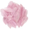 Rosa små gåsefjær, lengde 6–7 cm, pakken inneholder 3 gram