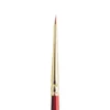 Sceptre Gold 101-0000 akvarell