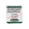 Schmincke Horadam akvarellmaling ½ kopp – Green earth 516