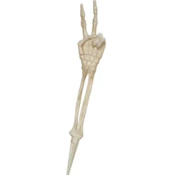 Skjelettdel arm fredstegn