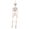 Skjelett i plast til Halloween 90 cm med bevegelige ledd