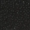TOHO-perler runde 11/0 – matt svart, 49F Transparent frosted jet black