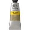 Winsor & Newton Galeria akrylmaling 60 ml Ivory Black 331