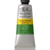 Winsor & Newton Galeria akrylmaling 60 ml Sap Green 599