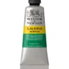 Winsor & Newton Galeria akrylmaling 60 ml Permanent Green Middle 484