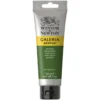 Winsor & Newton Galeria akrylmaling 120 ml Sap Green 599