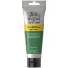 Winsor & Newton Galeria akrylmaling 120 ml Permanent Green Middle 484