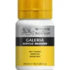 Winsor & Newton Galeria Matt Varnish 250 ml