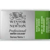 Winsor & Newton Professional akvarellmaling helkopp Permanent Sap Green 503