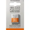 Winsor & Newton Professional akvarellmaling halvkopp Burnt Umber 076