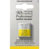 Winsor & Newton Professional akvarellmaling halvkopp Caput Mortuum Violet 125