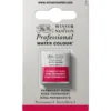 Winsor & Newton Professional akvarellmaling halvkopp Permanent Sap Green 503
