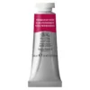 Winsor & Newton Professional akvarellmaling 14 ml Permanent Sap Green 503