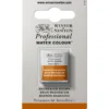 Winsor & Newton Professional akvarellmaling halvkopp Magnesium Brown 381