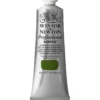 Winsor & Newton Professional akrylmaling 60 ml Permanent Sap Green 503
