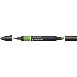 Winsor & Newton Promarker Forest Green (G356)